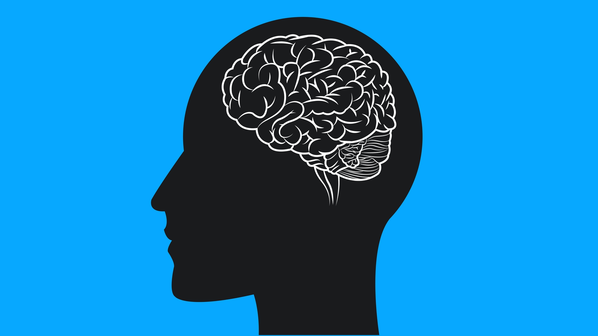 Scientists are a step closer to understanding the balance between neuron and glial cell production in the brain